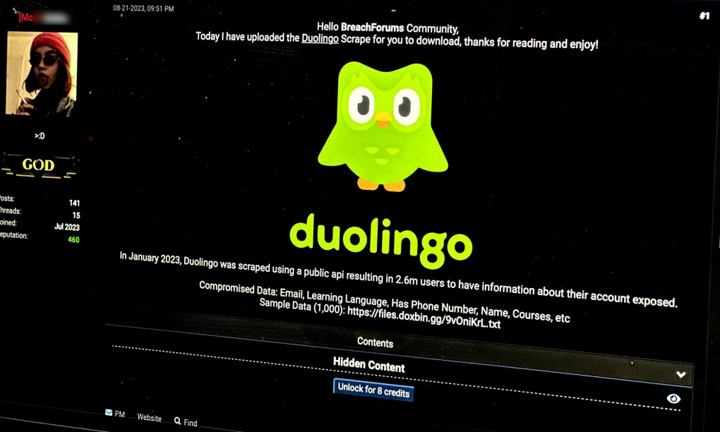 DuoLingo, hacker, dữ liệu người dùng
